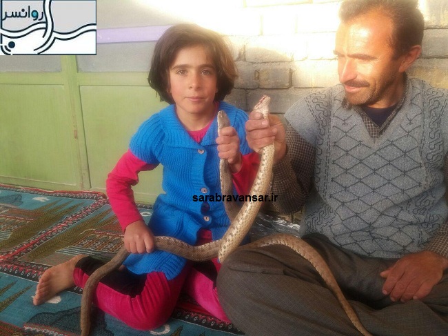 زندگی یک خانواده کرد با زندگی یک خانواده کرد با