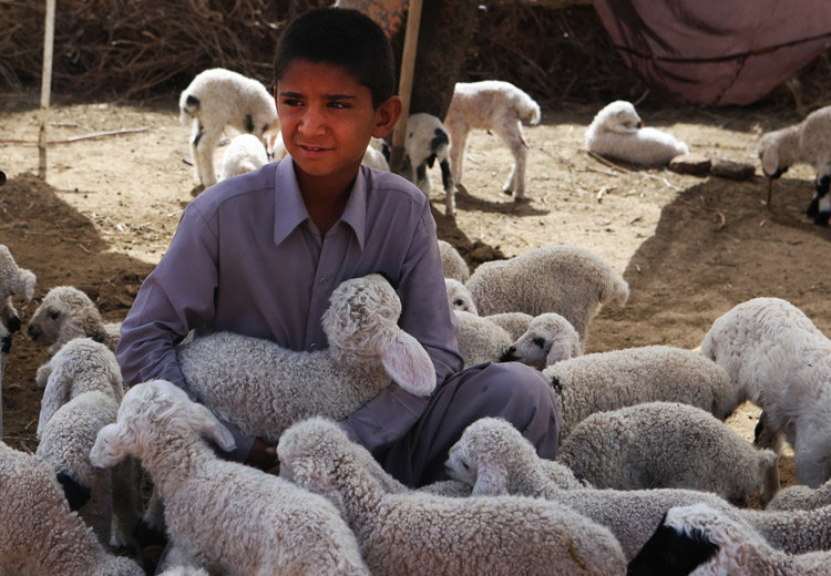 تصویر تصویر