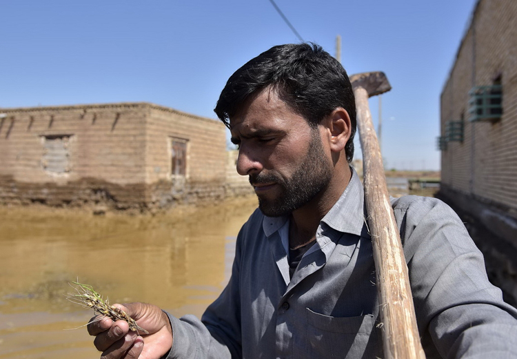 تصویر تصویر