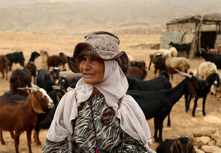 تصویر تصویر