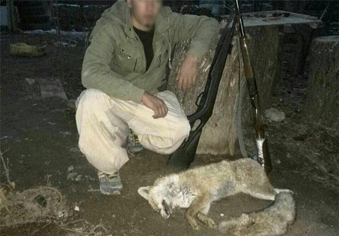 (تصاویر) جنایات