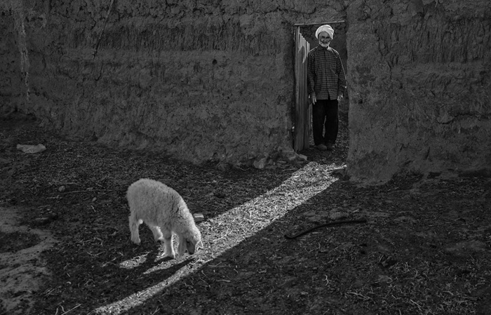 (تصاویر) خشکسالی در شرق کشور