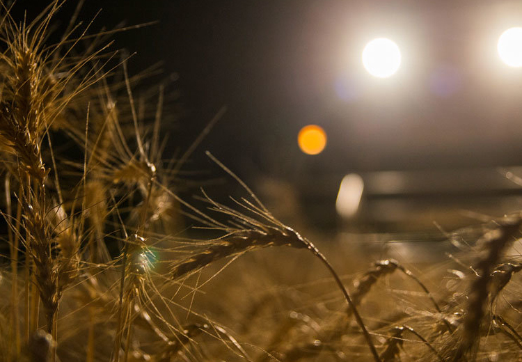 تصویر تصویر