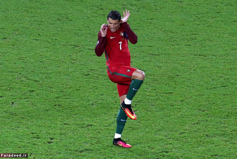 (تصاویر) آلبوم منتخب (تصاویر) آلبوم منتخب