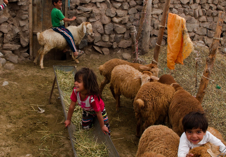 تصویر تصویر
