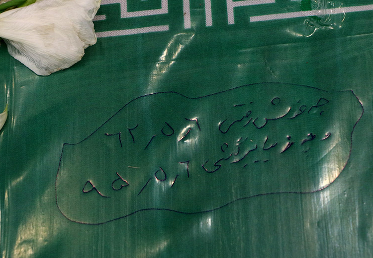 تصویر تصویر