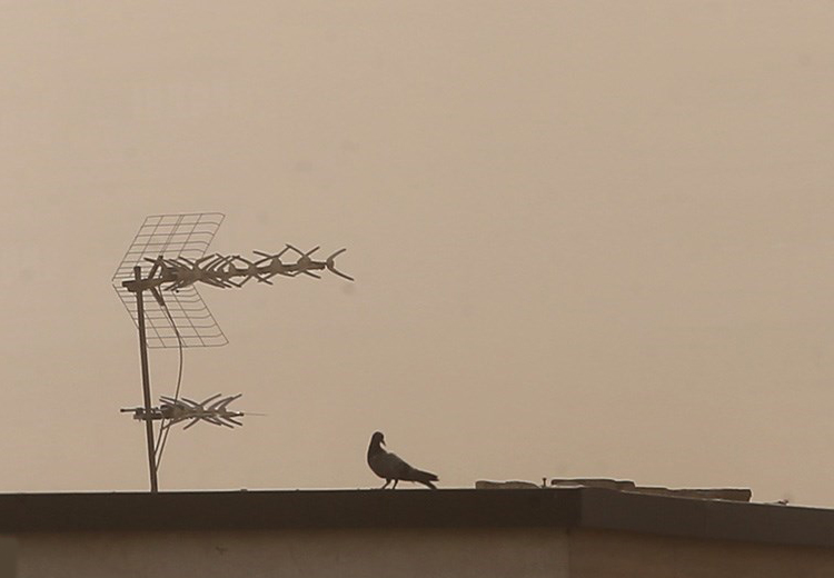 تصویر