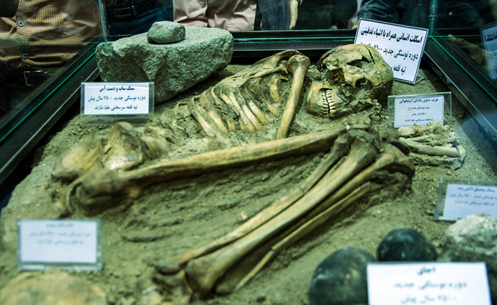 (تصاویر) رونمایی ازاسکلت۷۵۰۰ساله شازند (تصاویر) رونمایی ازاسکلت۷۵۰۰ساله شازند