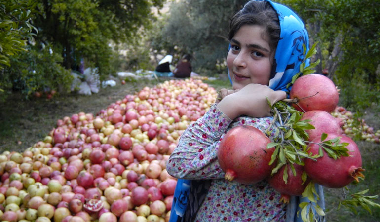 تصویر تصویر