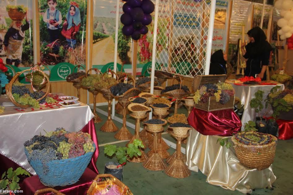 جشنواره خوشههای یاقوت جشنواره خوشههای یاقوت