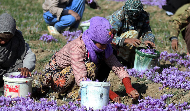تصویر تصویر