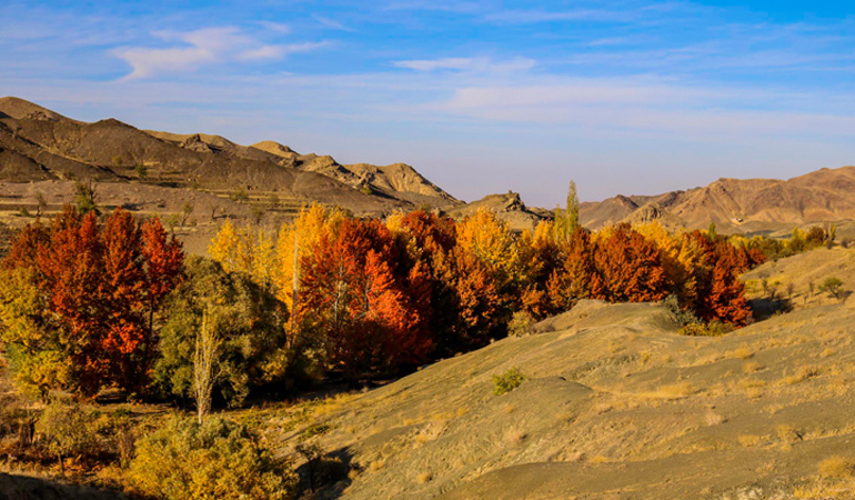 تصویر
