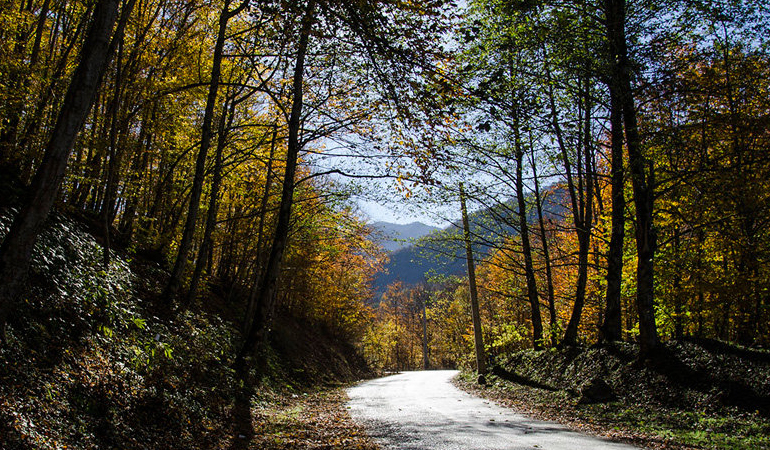 تصویر تصویر