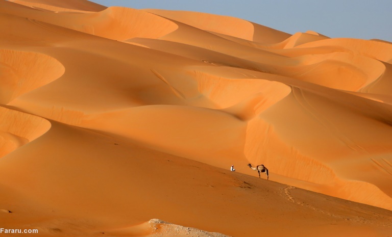 تصویر تصویر