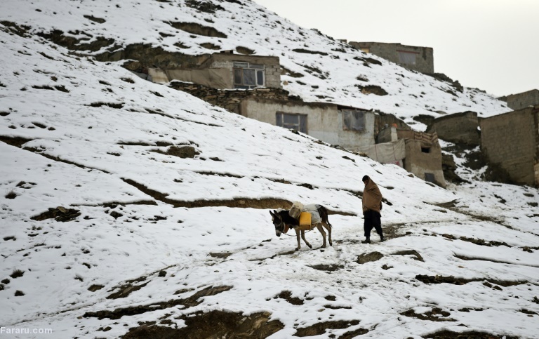 تصویر تصویر