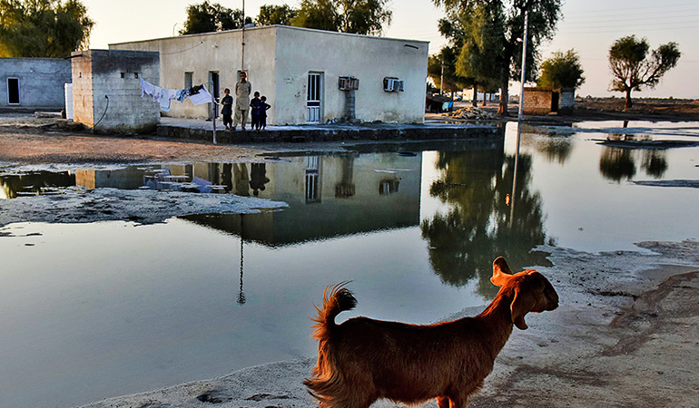 تصویر تصویر