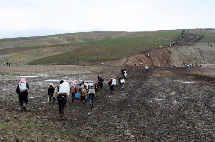 کولبری در نمای نزدیک