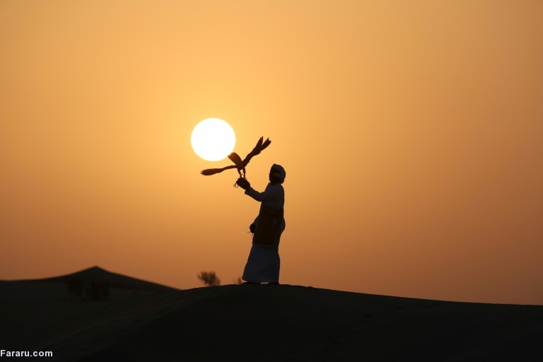 تصویر تصویر