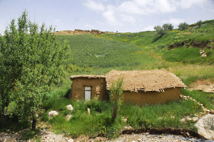 (تصاویر) گزارش (تصاویر) گزارش