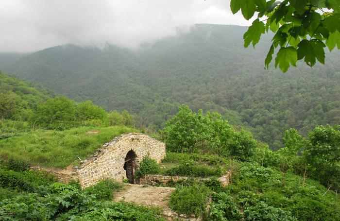 (تصاویر) گزارش (تصاویر) گزارش