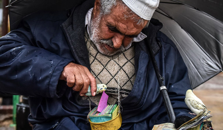 تصویر تصویر