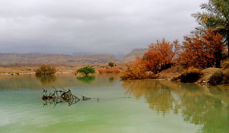 تصویر تصویر