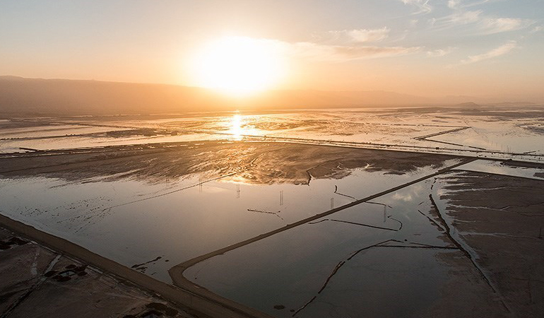 تصویر تصویر