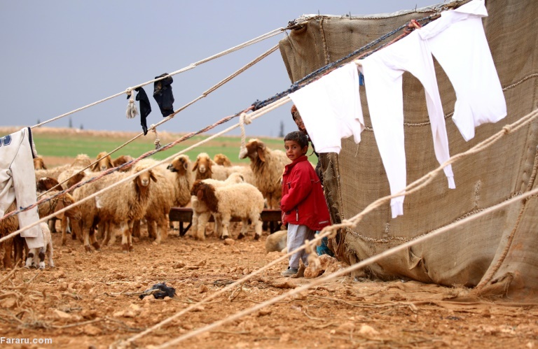 تصویر تصویر