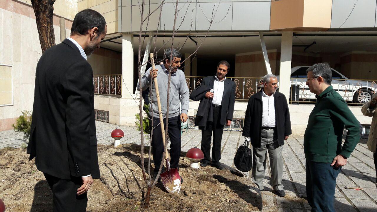 کاشت نهال توسط احمدی نژاد، بقایی و مشایی