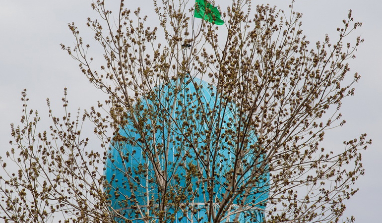 تصویر تصویر