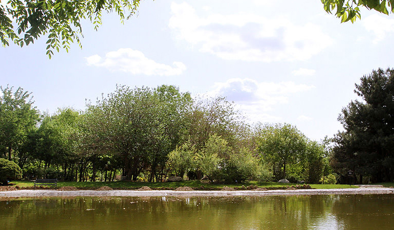 تصویر تصویر