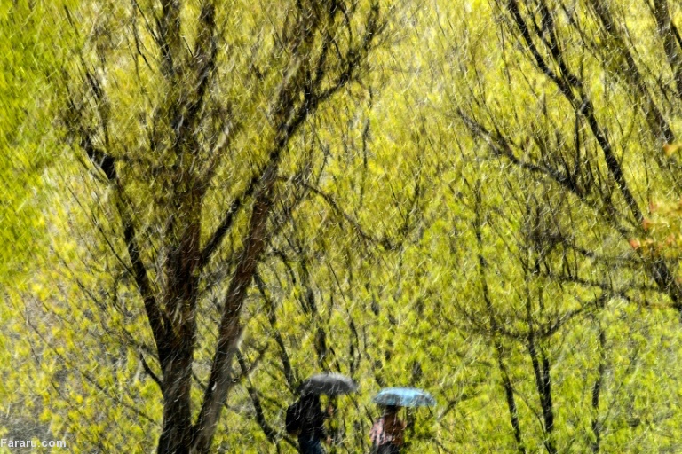 تصویر تصویر