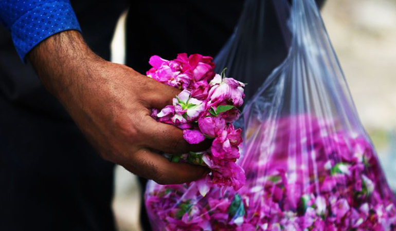 تصویر تصویر