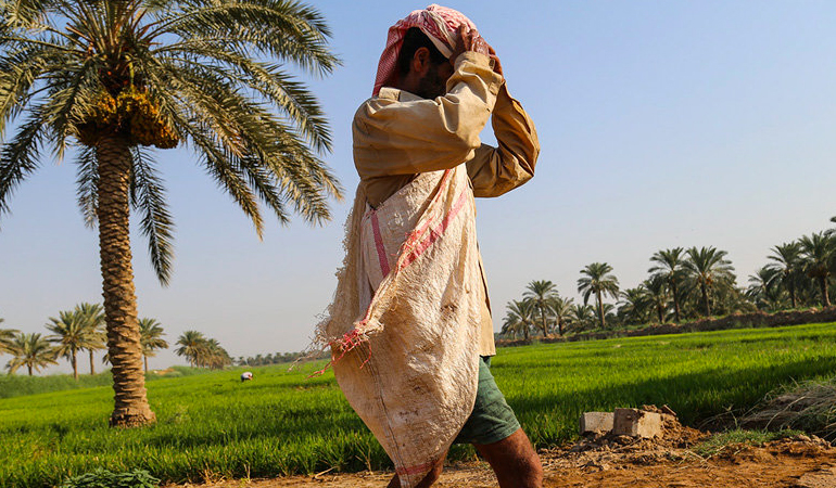 تصویر تصویر