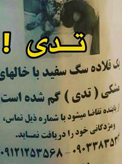 واکنش متفاوت ضرغامی به شایعات اخیر واکنش متفاوت ضرغامی به شایعات اخیر
