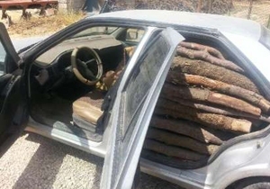 کشف یک تن و ۵۰۰ کیلوگرم چوب جنگلی قاچاق