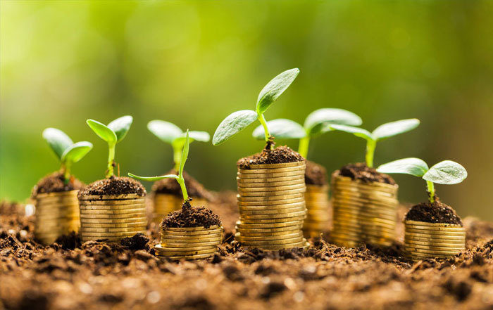 پیداوپنهان اخذ وام‌های کلان توسط دولت