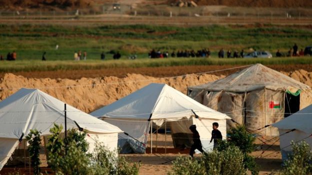شهادت ۱۶ فلسطینی و زخمی شدن ۱۴۱۶ تن