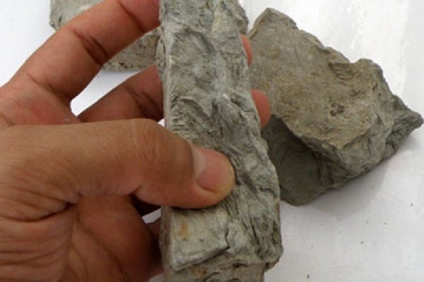 «سنگ مرداب» چه عوارضی دارد؟