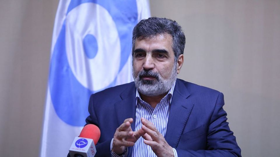 کمالوندی: ماندن در برجام بهتر از نماندن در آن است