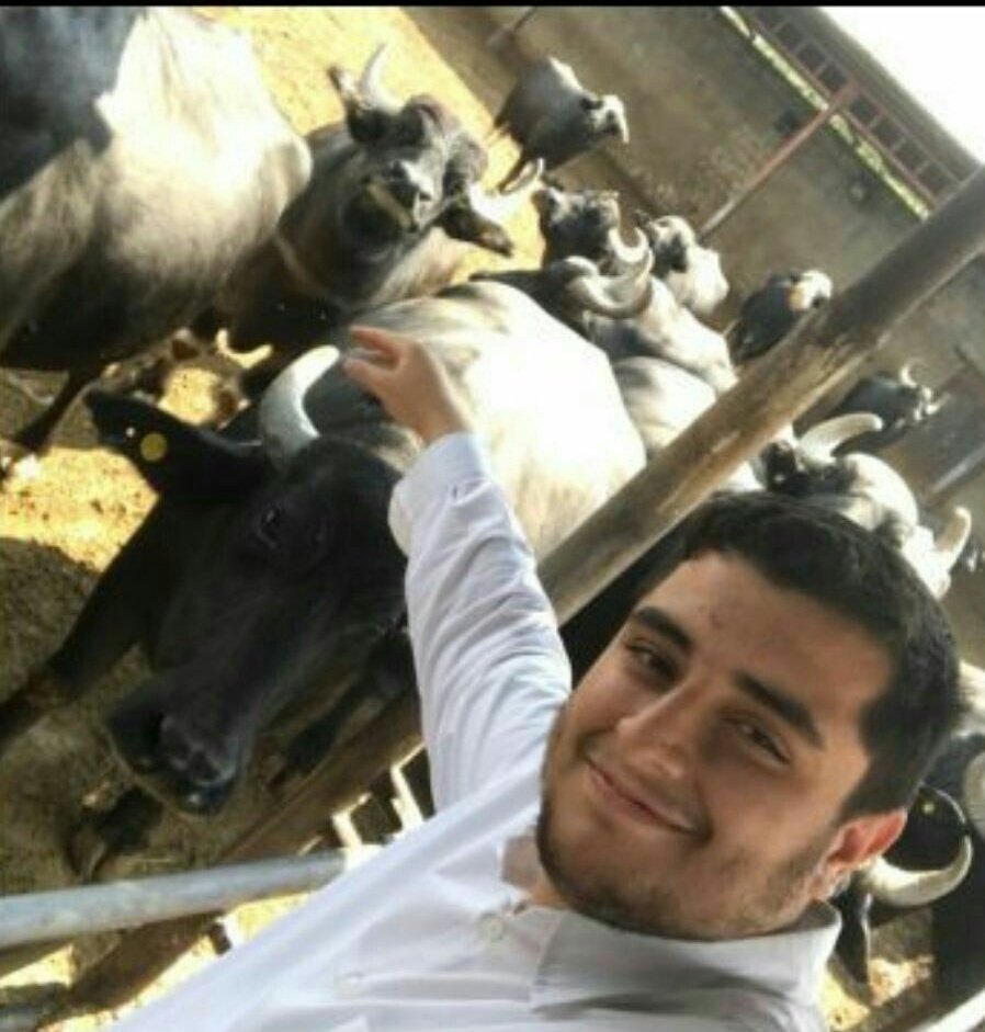 نماینده مجلسخواب! نماینده مجلسخواب!
