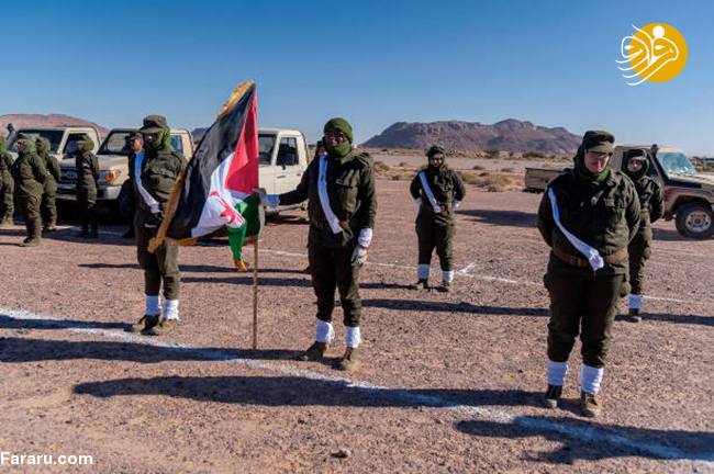(تصاویر)