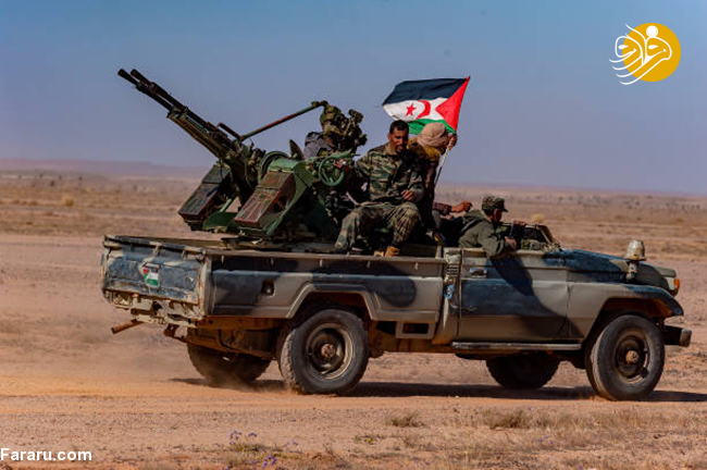 (تصاویر)