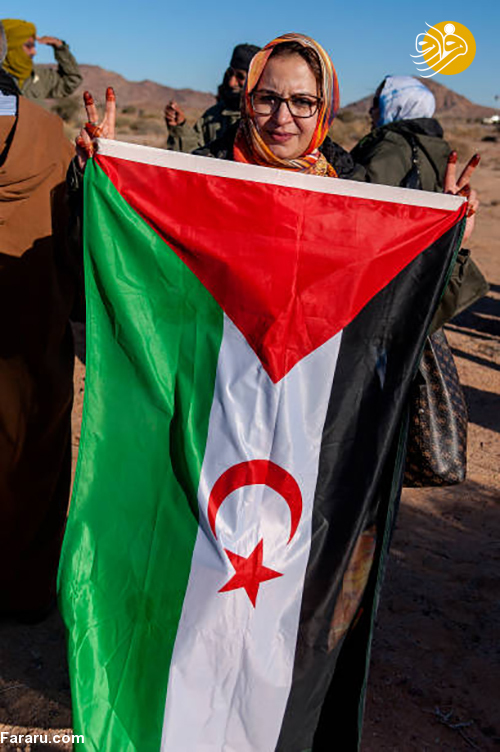 (تصاویر)