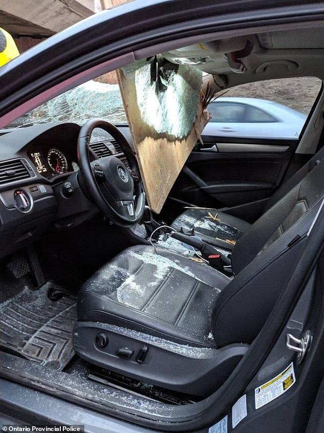 (تصاویر) خوش شانس‌ترین مسافران دنیا