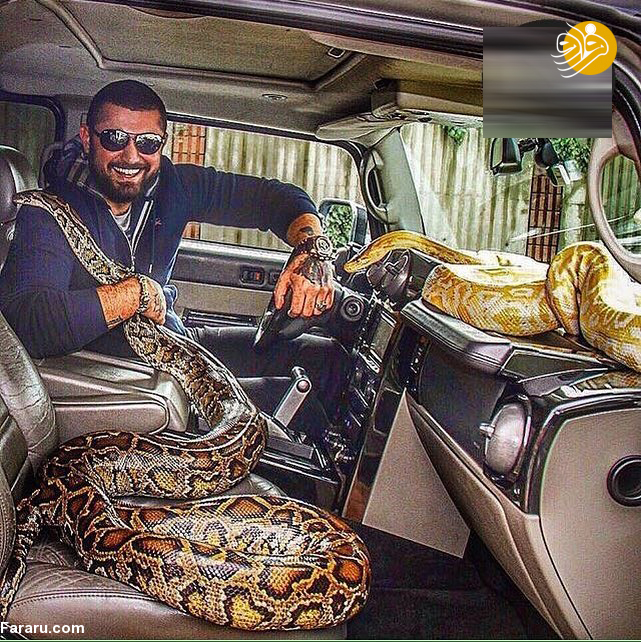 (تصاویر)