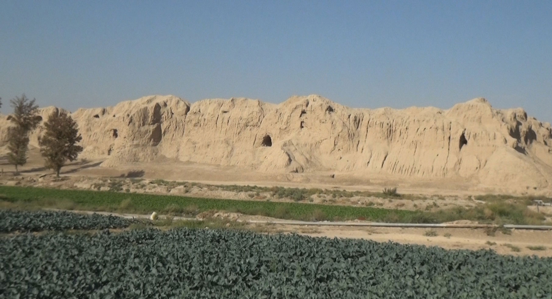 گوسفندان آخرین ساکنان قلعه ساسانی!