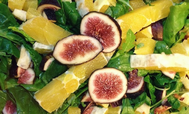 چگونه غذادرمانی کنیم؟