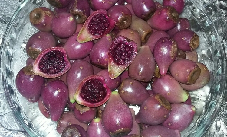 چگونه غذادرمانی کنیم؟