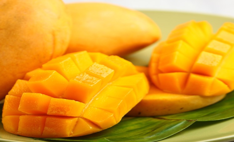 چگونه غذادرمانی کنیم؟